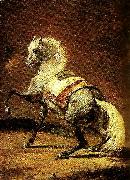 Theodore   Gericault cheval gris pommele oil painting